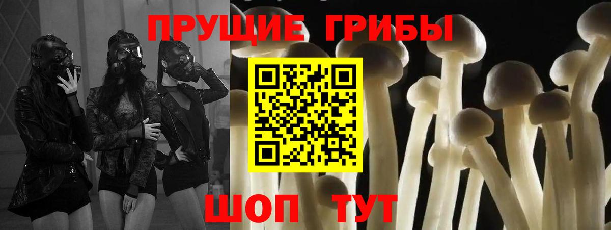 даркнет сайт  Вход с VPN  Кохма  Галлюциногенные грибы мицелий 